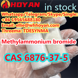 China Supplier 99% purity Podwer CAS 6876-37-5 Methylammonium Bromide +86 19565688180